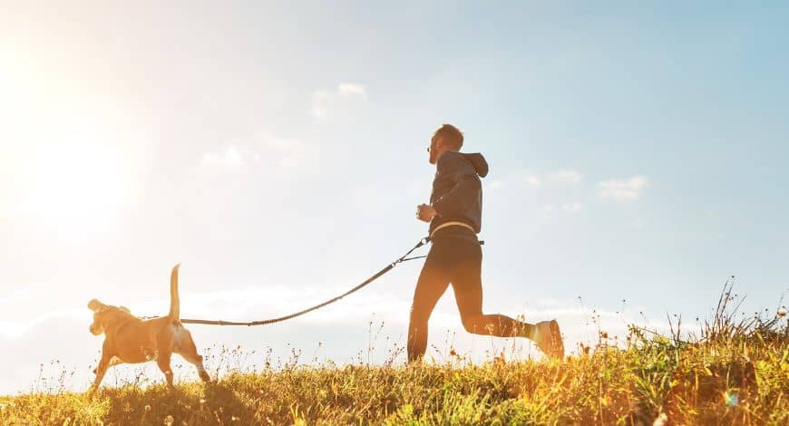 Planes con perros para disfrutar en compañía de tu mascota